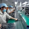 Vietnamese workers' average monthly income rises by 7.4% in H1