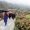 Giay ethnic group's bride-welcoming ceremony