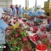 Fruit, vegetable exports expected to hit record in 2024