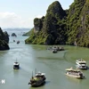 Ha Long Bay welcomes 6,000 visitors after typhoon