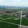 Vietnam has great potential to develop green economy (Illustrative image. Photo: VNA)