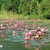 Ninh Binh strives to build Trang An as center of “Millennium Heritage city” 