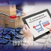 National E-commerce Week and Vietnam Online Shopping Day