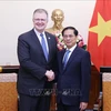 El ministro de Relaciones Exteriores de Vietnam, Bui Thanh Son (derecha), recibe al subsecretario de Estado de Estados Unidos Daniel Kritenbrink. (Foto: VNA)