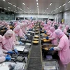 Una línea de procesamiento de camarones para exportación (Foto: VNA)
