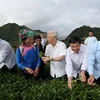 Aportes del máximo dirigente vietnamita a la garantía del progreso y la justicia social