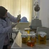 Indonesia aspira a convertirse en el centro de investigación clínica del sudeste asiático (Fuente: https://en.antaranews.com)