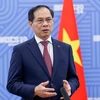 El viceprimer ministro y titular de Relaciones Exteriores de Vietnam, Bui Thanh Son (Foto: VGP)