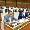 Los diputados votan en la sesión (Foto: VNA)