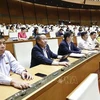 Los diputados realizan la votación (Foto: VNA)