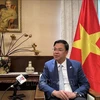 El embajador de Vietnam en Japón, Pham Quang Hieu (Foto: VNA)