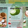 Exportaciones de coco fresco: Nuevo aliciente para la economía de Vietnam