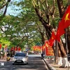 Una calle adornada con banderas y carteles en la ciudad de Ca Mau, de la provincia homónima (Foto: VNA)