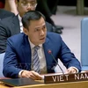 越南常驻联合国代表团团长邓黄江大使在会上发表讲话 图自越通社