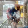 Les secouristes évacuent un habitant d'une zone inondée causée par le typhon Ewiniar dans la province de Quezon aux Philippines, le 26 mai. (Photo : AFP/VNA)