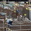 Des ouvriers sur un chantier de construction à Singapour en 2021. (Photo d'archives : AFP)
