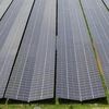 Le nouveau parc solaire flottant de Singapour devrait être capable de produire 141 mégawatts-crête (MWc) d'énergie propre (Photo : businesstimes.com.sg)