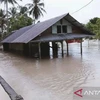 Une maison est inondée par les inondations à West Nias, au nord de Sumatra, le 16 juin 2024. (Photo : ANTARA)