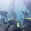 Des plongeurs retirent des filets de pêche sous l’eau sur la côte de Brunei (Photo : borneo bulletin.com.bn)