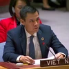 L'ambassadeur Dang Hoang Giang, représentant permanent du Vietnam auprès des Nations Unies (ONU). Photo : VNA