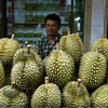 Vente de durians thaïlandais à Bangkok (Photo : AFP/VNA)