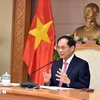 Le vice-Premier ministre et ministre des Affaires étrangères Bui Thanh Son. Photo : VNA