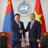 Le secrétaire général du Parti communiste du Vietnam et présidentTo Lam (droite) et le Premier ministre de Mongolie Luvsannamsrain Oyun-Erdene. Photo : VNA