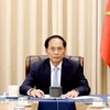 Le vice-Premier ministre et ministre des Affaires étrangères du Vietnam, Bui Thanh Son. Photo : VNA