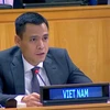 L'ambassadeur Dang Hoang Giang, représentant permanent du Vietnam auprès de l'ONU. Photo : VNA