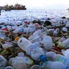 Un garçon ramasse des déchets plastiques éparpillés sur une plage de Ternate, dans la province des Moluques du Nord en Indonésie. (Photo : Antara)