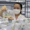  "Le levier" pour stimuler le développement des secteurs pharmaceutique et biotechnologiques au Vietnam