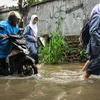 Des étudiants pataugent dans les eaux de crue sur une route du sud de Tangerang, à Banten, le 11 novembre 2024 (Photo : antaranews)