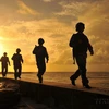 Armada vietnamita con aportes trascendentales en protección de soberanía insular
