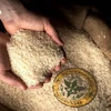 Tailandia anuncia resultados de pruebas de arroz almacenado durante 10 años