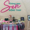 Japón importará en 2024 más raíz de loto de provincia vietnamita de Dong Thap