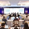 Vietnam propone medidas para fortalecer cooperación entre países de CLMV