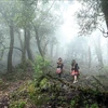  莱州省山区推进森林保护与森林旅游多元协调发展