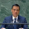 越南常驻联合国代表团团长邓黄江在庆典上发表讲话。图自越通社
