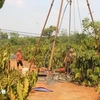 农民正在打井，试图拯救因干旱而逐渐干涸的咖啡树。图自越通社