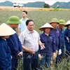 越南政府总理范明政亲自慰问正在宁平省三叠市同交农场菠萝田里辛勤劳作的工人们。图自越通社