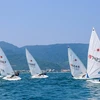 岘港市将于7月在瀚江举行帆船表演活动。图自越南之声