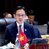 越南外交部副部长、东盟高官会(SOM ASEAN)越南代表团团长杜雄越率越南代表团出席会议。图自越通社