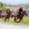 北河赛马是最具特色的活动之一。图自越通社