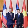 越南国家主席苏林和老挝人民革命党中央总书记、国家主席通伦合影（2024年7月11日）。图自越通社