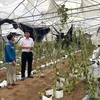 越南各家银行为超过 8.34万名客户提供贷款支持。图自越通社