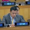 L'ambassadeur Dang Hoang Giang, chef de la Mission permanente du Vietnam auprès des Nations Unies (ONU). Photo: VNA