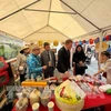 越南驻瑞典大使馆和旅瑞越南人介绍了越南农产品、食品、手工艺品、纺织品、藤竹制品等数百种产品。图自越通社