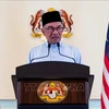 马来西亚总理安瓦尔·易卜拉欣。图自越通社