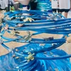 1001只陶瓷海龟展展示的作品。图自互联网