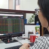 An investor watches stock movements on her computer. (Photo: VNA) 